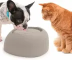 IMAC Поилка-фонтан для кошек и собак PET FOUNTAIN, 2 л, бежево-серая