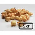 Лук севок Штутгартер Ризен 5 кг.