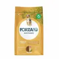Корм сухой Forza10 Maintenance, для взрослых собак средних и крупных пород, с курицей с картофелем, 12 кг