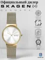 Наручные часы SKAGEN, золотой, серебряный