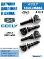 Датчики давления в шинах 4 шт 6600145881 Geely Monjaro Atlas Zeekr