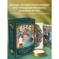 Темная В. Фамильное Таро (78 карт и руководство в подарочном оформлении)