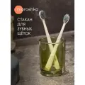 Стакан для зубных щеток Teriberka, 8х8х10 см, цвет зеленый