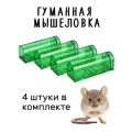 Мышеловка гуманная, живоловка для дома и дачи (ловушка для мышей и кротов), пластиковая, комплект из 4 штук, зеленая