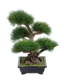 Бонсай Сосна Элит в керамическом кашпо высота 60 см ботаническая копия