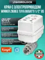 Кран шаровой с электроприводом Gidrolock Winner Zigbee Tuya Bugatti 1/2 BS