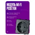 Умная розетка WIFI, модуль без рамки, с заземлением и шторками, 16А, серая, для умного дома
