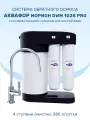 Система обратного осмоса Аквафор Морион DWM 102S Pro с минерализатором