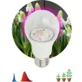 Фитолампа для растений светодиодная ЭРА FITO-14W-RB-E27-K красно-синего спектра (зелень) Груша 14Вт Е27 21 мкмоль/с 380.780нм 1300К 230В (Б0039071) (комплект 8 шт)