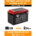 Тяговый аккумулятор RuTrike 6-DZF-24 (12V24A/H C2)