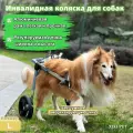Инвалидная коляска для собак для задних лап, Подходит для средних и крупных пород собак (22 - 30 кг), синий, размер L