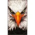 PN-0199444 Набор для вышивки крестом Lanarte Крупный план Орел  14 x 26 cm,