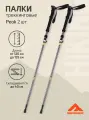 Треккинговые палки Berger Hiking Peak, 120-135 см, 4-секционные, складные, темно-серый/горчичный