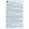 Семена Астры китайской Трубадур Лайт Блю (20 семян)