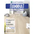 Ламинат Kastamonu Black 33 класс 8 мм Дуб Горный Светлый (в уп. 8 шт./2.131 кв. м)