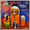 Матрешка деревянная детская развивающая игрушка Космонавты 5 мест 15 см Орнамент
