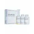 Olaplex Traveling Stylist Kit - Набор для стилиста 3 х 100 мл