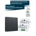 Беспроводной кинетический выключатель света NETGIM (2 клавиши + два реле 220В 10А 433МГц) Черный