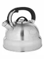 Чайник со свистком НМ 5548-5 (4.8л)