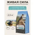Живая сила, корм сухой беззерновой для взрослых собак с 1 года с лососем и гречей, Крупная гранула (2,5 кг)