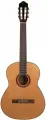 Гитара классическая Omni CG-410