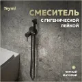 Гигиенический душ Teymi Lina T10230 со смесителем, встраиваемый, черный, матовый, стальной, скрытого монтажа