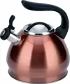 Чайник металлический Winner WR-5080 3л.