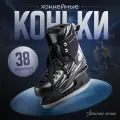 Коньки хоккейные прокатные Winter Star, размер 38, цвет черный