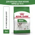 Сухой корм для собак Royal Canin Mini Adult для мелких пород, 8 кг