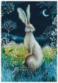 Заяц под покровом ночи M611