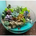 Флорариум Полусфера «домик у моря»