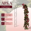 Арка садовая 250 × 120 × 30 см, для вьющихся растений, металлическая, зелёная