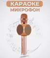 Беспроводной караоке - микрофон с колонкой/ Rose
