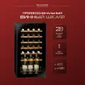 Винный холодильный шкаф Dunavox DXFH-28.88 компрессорный (отдельностоящий холодильник для вина на 28 бутылок)