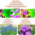 Набор медоносных трав/сидератов,600г, (Фацелия, Синяк, Козлятник), premium