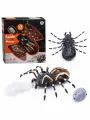 Игрушка радиоуправляемая Паук Крестовик (TT6024A)
