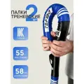 Палки тренерские Tomorrow Star (пара) синие
