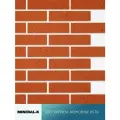 Гибкий кирпич на сетке с защитной плёнкой - 1.8 м²/морковные ноты