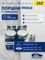 Комплект поршней с кольцами focus 2 1.8л. STD mahle