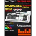 Механическая Игровая Программируемая Клавиатура PANTEON T24 PRO RS HL White-Dark Grey-White (222)