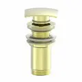 Донный клапан для раковины WONZON & WOGHAND, Брашированное золото (WW-88SS08-BG)