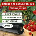 Пленка для мульчирования Светлица Грунт с перфорацией 60мкм, 1,3х120 м, черная