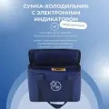 Сумка-холодильник медицинская НПФ Медтехника для перевозки биологических материалов с охлаждающими элементами и электронным индикатором