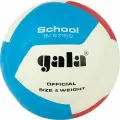 Мяч волейбольный GALA School 12 BV5715S, размер 5