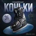 Коньки хоккейные прокатные Winter Star, размер 36, цвет черный