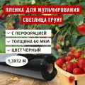 Пленка для мульчирования Светлица Грунт с перфорацией 60мкм, 1,3х12м, черная
