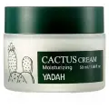 YADAH Увлажняющий крем для лица CACTUS MOISTURIZING CREAM 50 мл