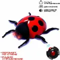 Жук на радиоуправлении Божья коровка , ползает по стене