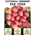 Клубни картофеля на посадку Ред Соня (суперэлита) 3 кг Очень ранний