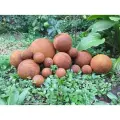 Шар металлический 150мм ржавая для сада и декора экстерьера
